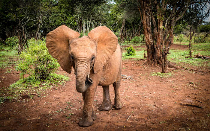 Sagala-2-2 - GALLERY.jpg